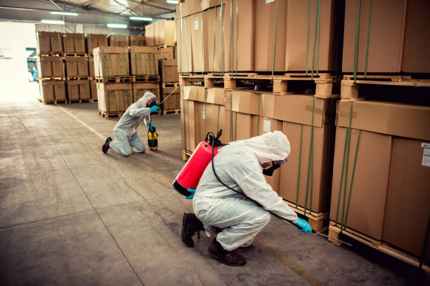 Best Affordable Pest Control Services  in Lake Butler, FL