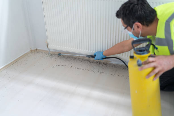 Insect Control in Lake Butler, FL